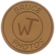 Tan Color 3D Die Cut Bruce Photos